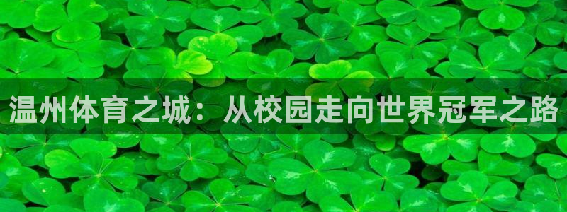 vsport体育官方正版app娱乐40996：温州体
