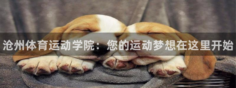 vsport体育官网下载联系电话：沧州体育运动学院：