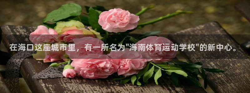 海南vsport体育官网下载发展怎么样：在海口这座城