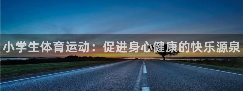 vsport体育官方正版app集团简介：小学生体育运