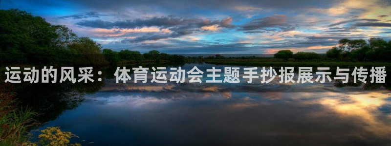 vsport体育官方正版app代理：运动的风采：体育