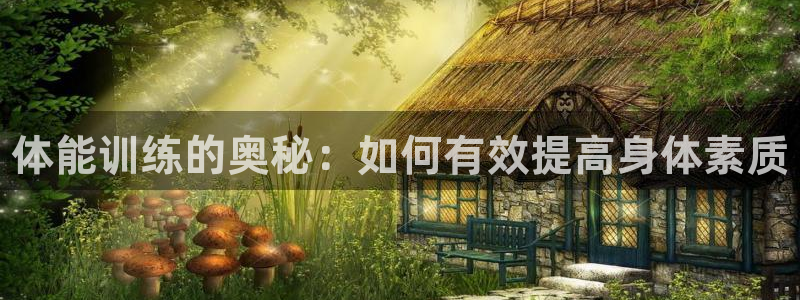 vsport体育官方正版app娱乐首页网站大全：体能