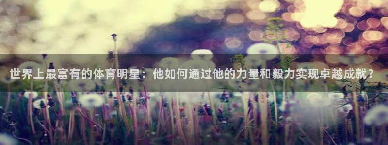 vsport体育官网下载招商电话是多少啊