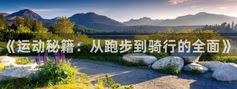 vsport体育官方平台体育：《运动秘籍：从跑步到骑