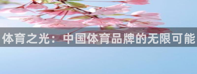 vsport体育官方正版app神州：体育之光：中国体