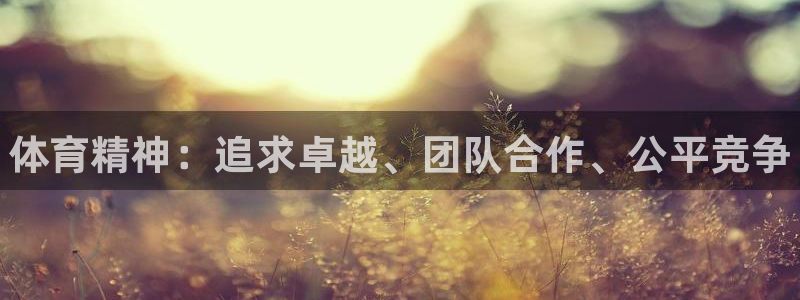 vsport体育官方正版app集团官网首页网址：体育
