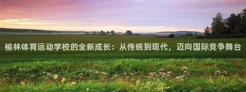 vsport体育官方正版app开户：榆林体育运动学校