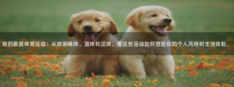 vsport体育官网下载招商电话是多少：我的最爱体育