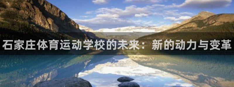 vsport体育官网下载平台注册流程图：石家庄体育运