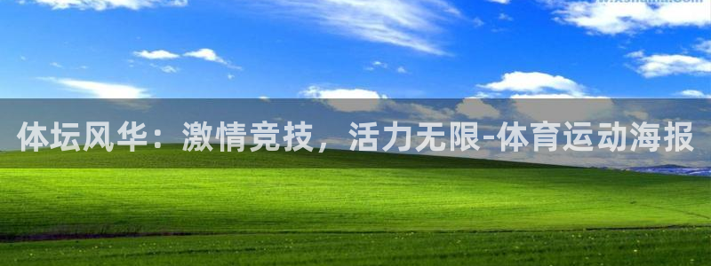 vsport体育官网下载平台APP：体坛风华：激情竞