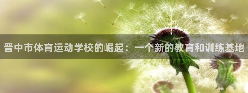 vsport体育官网下载软件