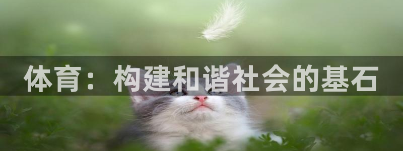 vsport体育官方正版app集团