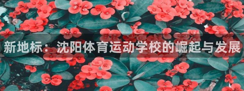 vsport体育官方正版app集团E.ON：新地标：沈阳体育