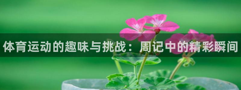 vsport体育官网下载平台假的吗是真的吗