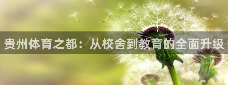 vsport体育官方正版app集团E.ON：贵州体育之都：从