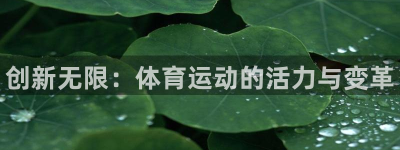 vsport体育官网下载平台注册要钱吗是真的吗：创新无限：体