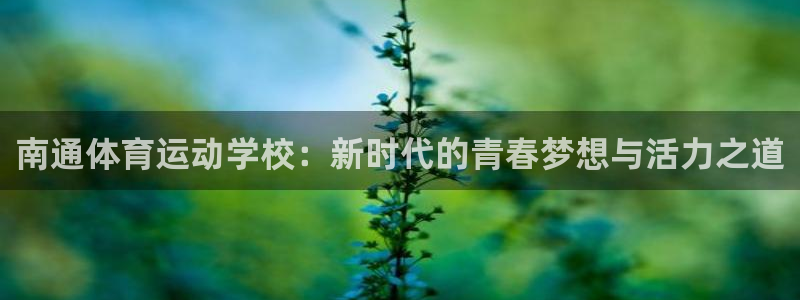 vsport体育官方正版app集团E.ON：南通体育运动学校