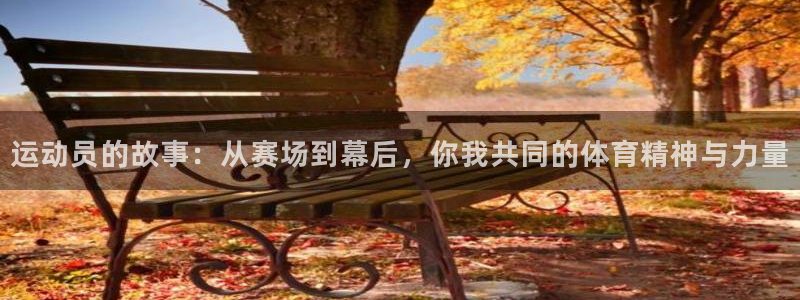 vsport体育官网下载注册：运动员的故事：从赛场到