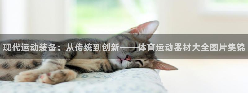 vsport体育官网下载平台注册：现代运动装备：从传