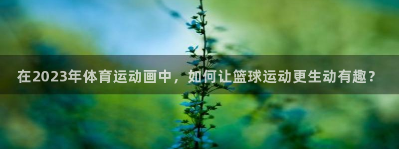 vsport体育官方平台体育：在2023年体育运动画