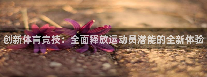 vsport体育官网下载：创新体育竞技：全面释放运动