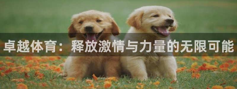 vsport体育官方正版app集团官网网址：卓越体育