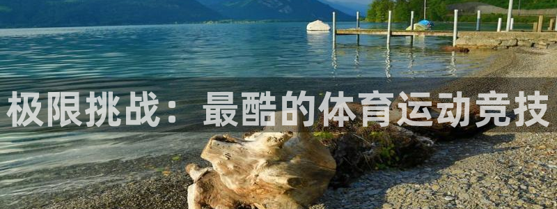 vsport体育官网下载平台注册要钱吗安全吗：极限挑