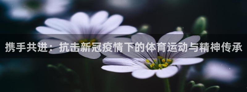 海南vsport体育官网下载：携手共进：抗击新冠疫情