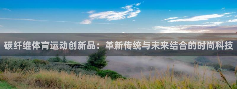 vsport体育官方正版app娱乐40996：碳纤维体育运动