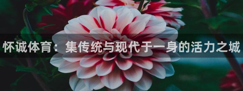 vsport体育官方正版app娱乐平台