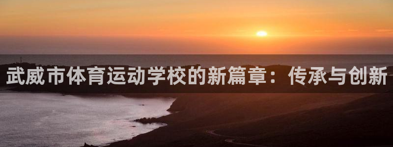 vsport体育官方正版app集团E.ON：武威市体育运动学