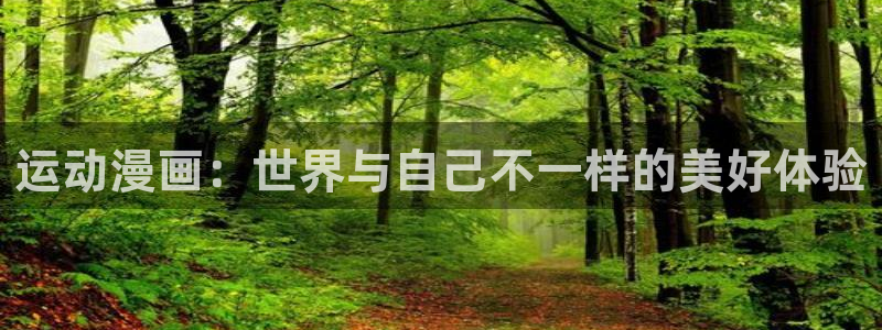 vsport体育官方正版app集团官网网址