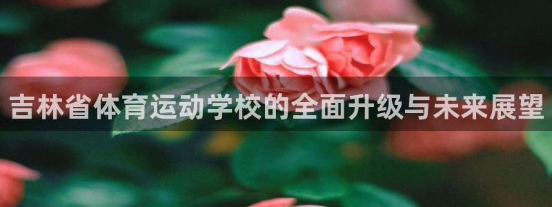 vsport体育官方正版app官方