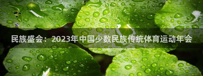 vsport体育官网下载平台是正规平台吗安全吗：民族盛会：2