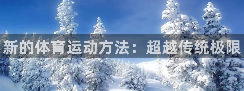 vsport体育官方正版app娱乐是那个系列的台子：