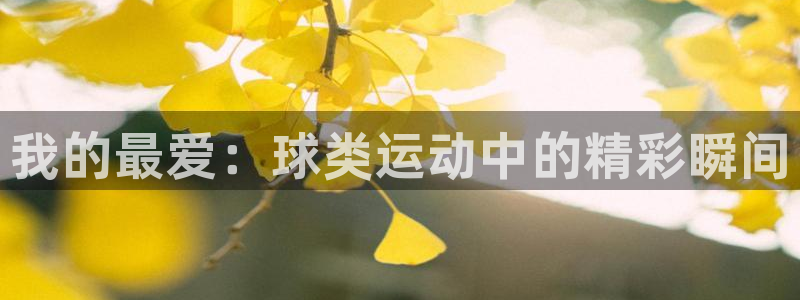 vsport体育官网下载招商电话号码是多少啊：我的最