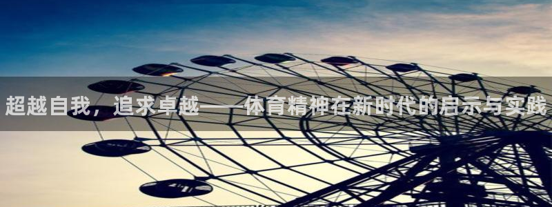 vsport体育官方正版app娱乐是那个系列的台子：