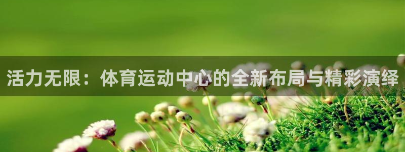 vsport体育官方正版app官方：活力无限：体育运