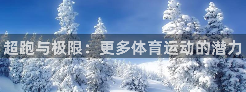 vsport体育官网下载平台注册：超跑与极限：更多体