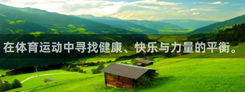 vsport体育官方正版app官方：在体育运动中寻找