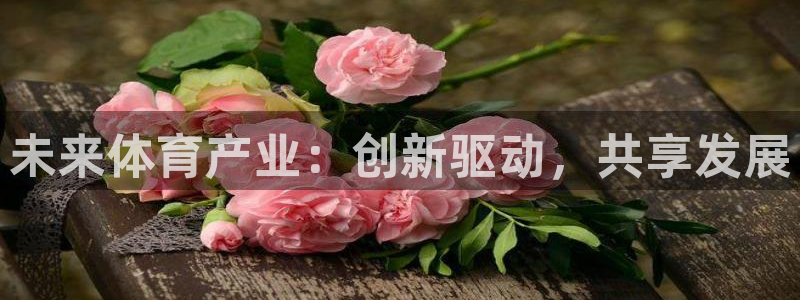 vsport体育官网下载招商电话号码是多少：未来体育