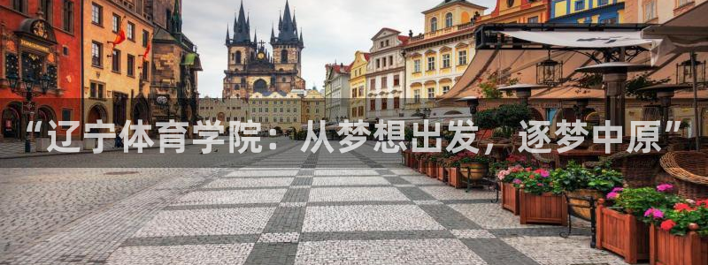 vsport体育官网下载招商电话号码查询是多少