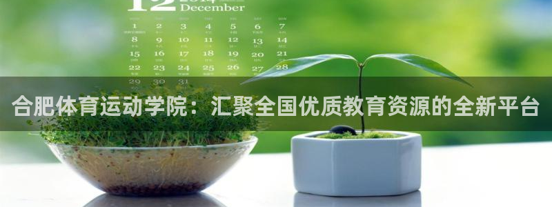 vsport体育官方正版app集团简介：合肥体育运动学院：汇