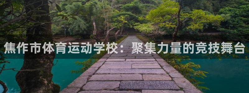 vsport体育官方正版app科技：焦作市体育运动学