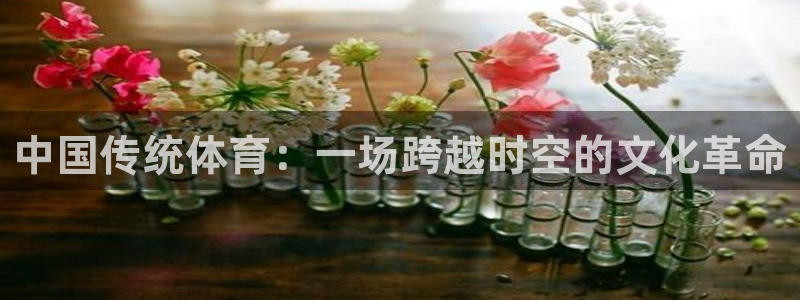 vsport体育官方正版app官方：中国传统体育：一场跨越时
