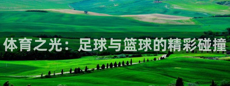 vsport体育官方正版app娱乐是那个系列的台子：体育之光